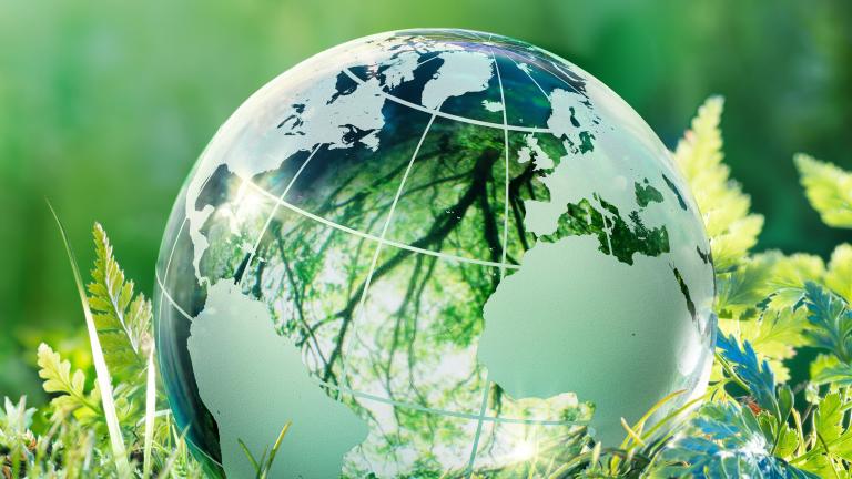 IESBA's Sustainability Hero Image, a close-up shot of a small, see-through globe resting on a bed of grass and leaves 